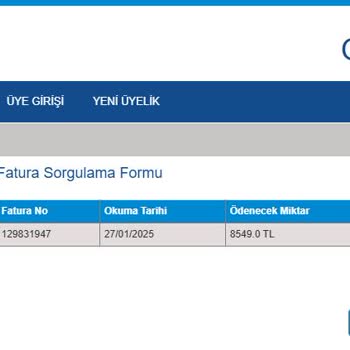 Yüksek Doğalgaz Faturası Ve Sayaç Kontrol Talebi