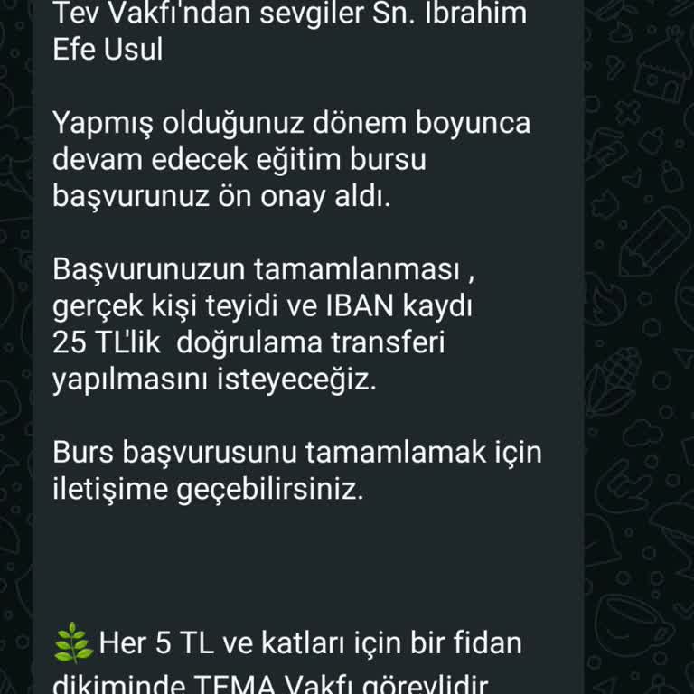 Burs Başvurusu Sonrası Güvenlik Endişesi