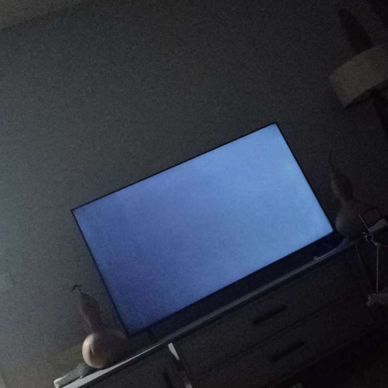 Sunny Televizyonun Ekran Kararma Sorunu