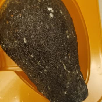 Migros'tan Gelen Küflü Avokado Şoku