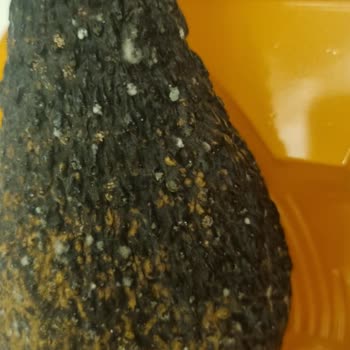 Migros'tan Gelen Küflü Avokado Şoku