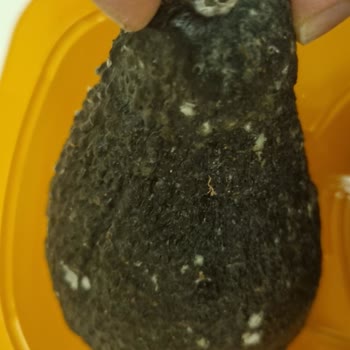 Migros'tan Gelen Küflü Avokado Şoku