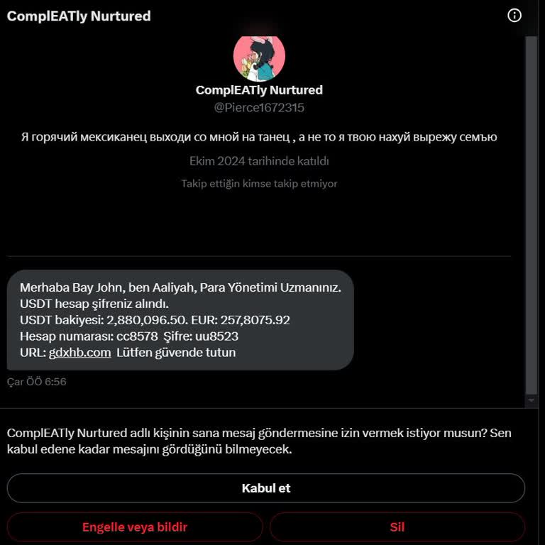 Yetkisiz Hesap Erişimi Ve Güvenlik İhlali