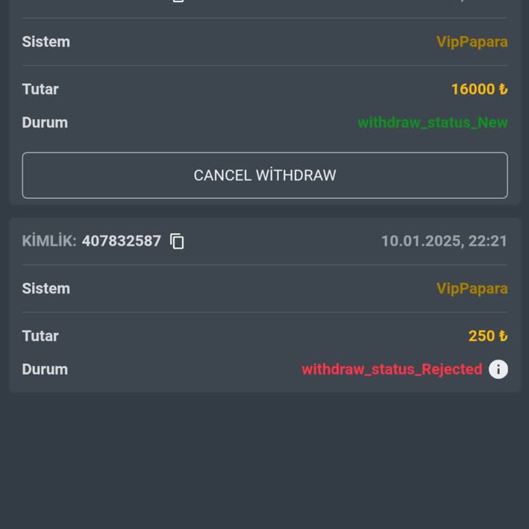 Sowinbet'te Ödeme Sorunu Ve Erişim Engeli