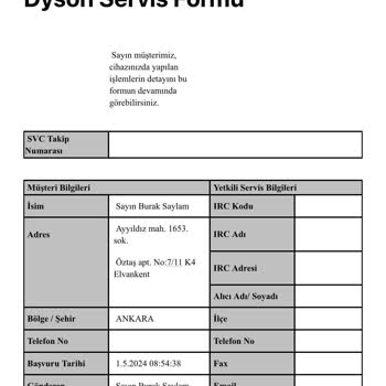 Dyson V15'in Sürekli Sorun Çıkaran Gövde Problemi