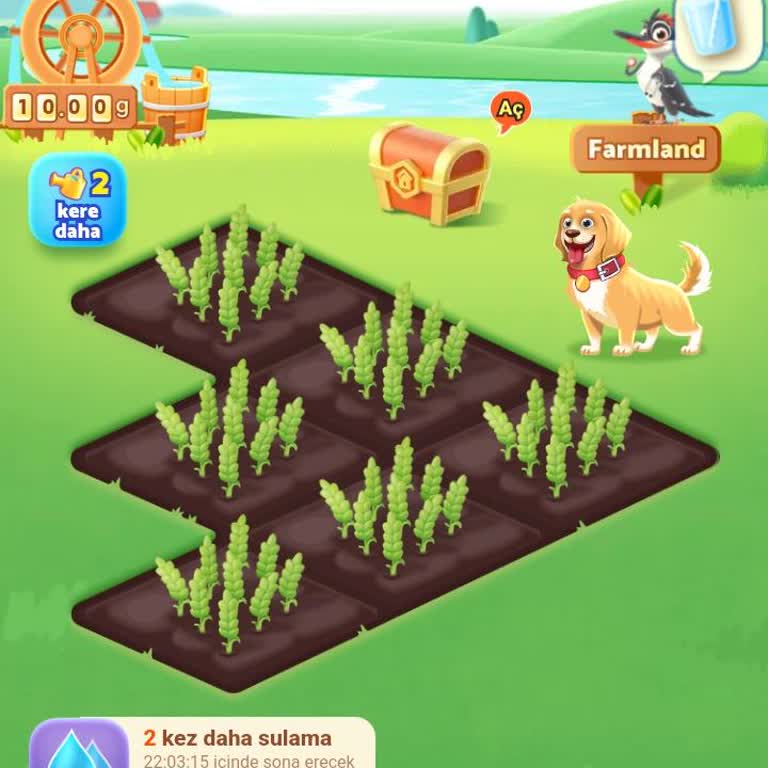 Temu'da Bitmeyen Oyun: Hayal Kırıklığı Ve Zaman Kaybı