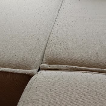 Dest Mobilya 20 Günlük Koltukta Tüylenme Sorunu Ve İlgisizlik!