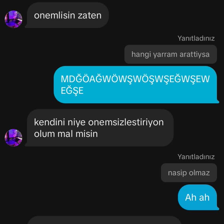 TikTok Mesajlarını Paylaşamama Sorunu
