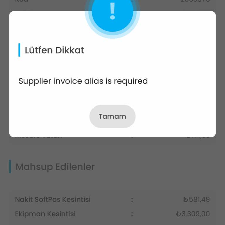 E-Fatura Onaylama Sorunu