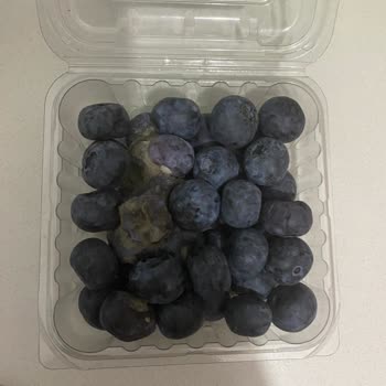 Küflü Ürün Ve İlgisiz Müşteri Hizmetleri