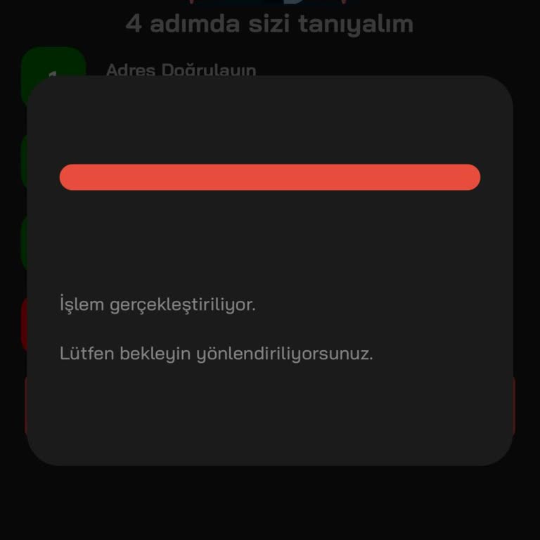 Kimlik Doğrulama Çıkmazı: Payfix'te Sürekli Hata