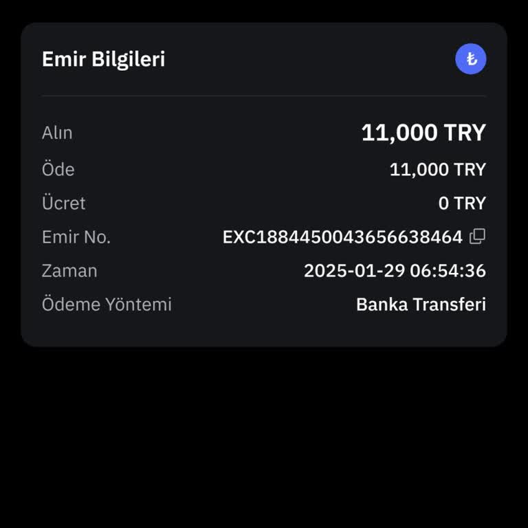 Bybit TR Hesabına Yatırılan Para Kayboldu