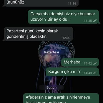 Kargo Sürecinde Yaşanan Aksaklıklar Ve Müşteri Memnuniyetsizliği