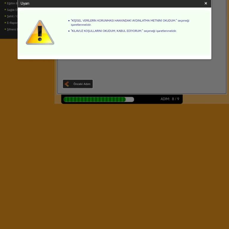 ÖSYM Sitesinde YDS Başvuru Onay Sorunu