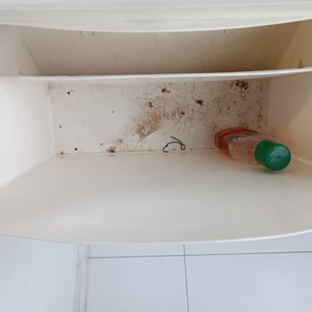 Clean Tutem (Tutem Temizlik) Mmnuniyetsizliği