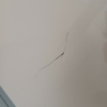 Clean Tutem (Tutem Temizlik) Mmnuniyetsizliği