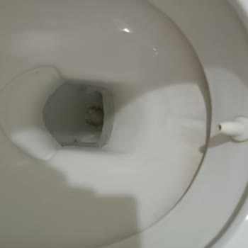 Clean Tutem (Tutem Temizlik) Mmnuniyetsizliği