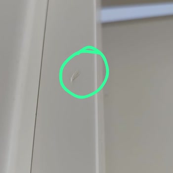 Kapı Montajında Hasar Ve Gecikme Sorunları