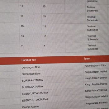 Kargom 3 Gündür Dağıtımda, Yanlış Şube Sorunu