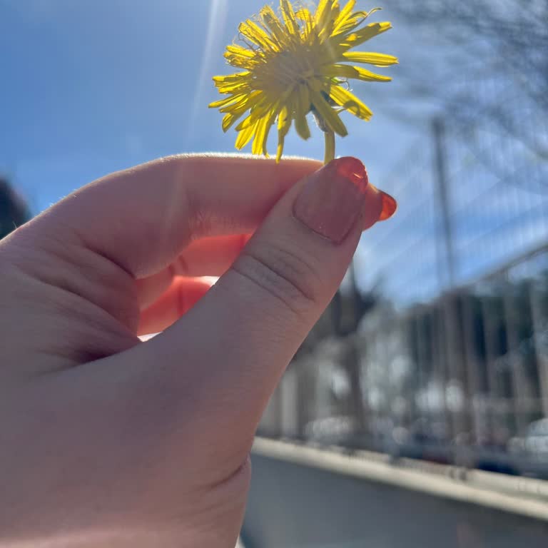Nijerya'dan Gelen Şüpheli Mesaj Ve Güvenlik Endişeleri