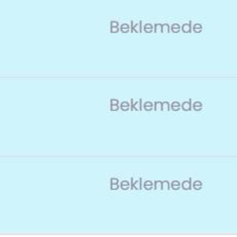 Mavi Anket Platformunda Ödeme Sorunu Ve Yanıtsız Talepler
