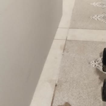 Tatil Sepeti Rehber Ve Konaklama Hayal Kırıklığı