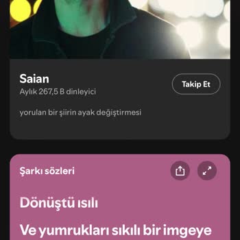 Spotify'da Şarkı Sözü Paylaşım Sorunu