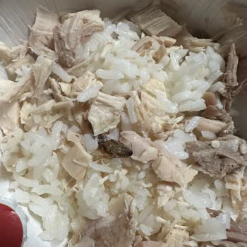 Tavuklu Pilavda Böcek Şoku Ve İade Sorunu