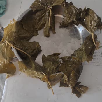 Kalitesiz Ürün Ve İlgisiz Müşteri Hizmeti