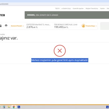TEB Bankası'nın Teknoloji Çağında Kredi Hatası