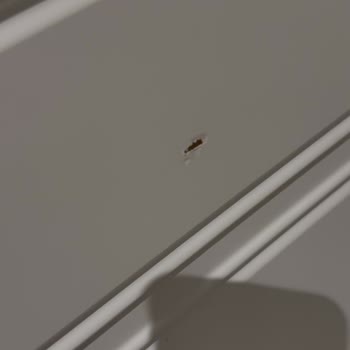 Kapı Teslimatı Ve Montaj Sorunu