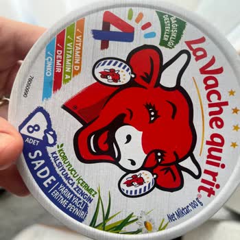 Aldığım Eritme Peynirde Küflenme Sorunu