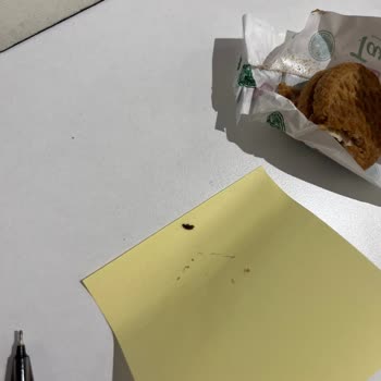 Torku Bisküvi İçinden Çıkan Böcek Şoku