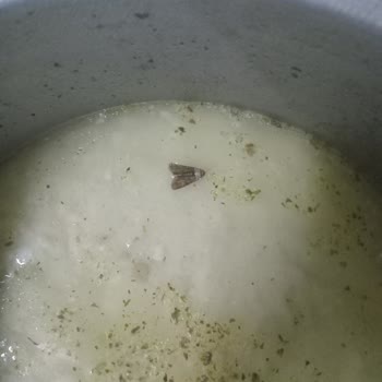 Başarır Kız Öğrenci Öğrenci Yurdu Şikayetçiyim