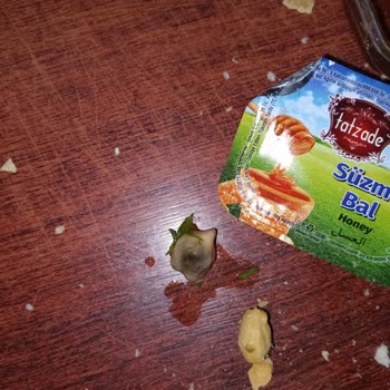 Başarır Kız Öğrenci Öğrenci Yurdu Şikayetçiyim