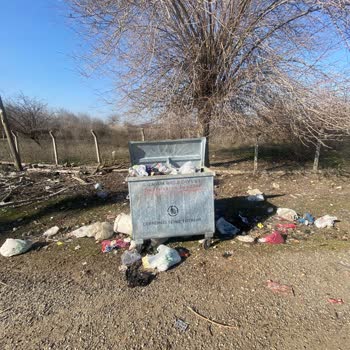 Çöp Konteyneri İhmali: Mahalle Sağlığı Tehlikede