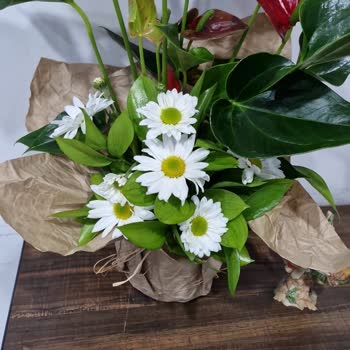 Sude Çiçek Evi Bornova Hayal Kırıklığına Uğrattı