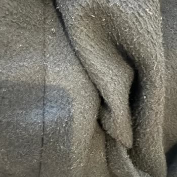 Network Kaban: Bir Yılda Deformasyon Ve Tüylenme Sorunu