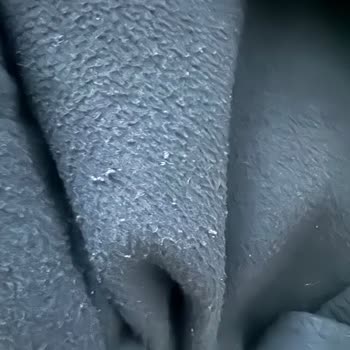 Network Kaban: Bir Yılda Deformasyon Ve Tüylenme Sorunu