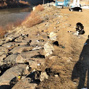 Depin Tüneli'nde Çöp Sorunu Ve Çözüm Talebi