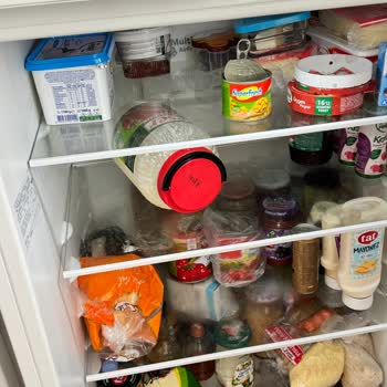 Bosch Refrigerator Freezing Everything—No Service Response for Two Years