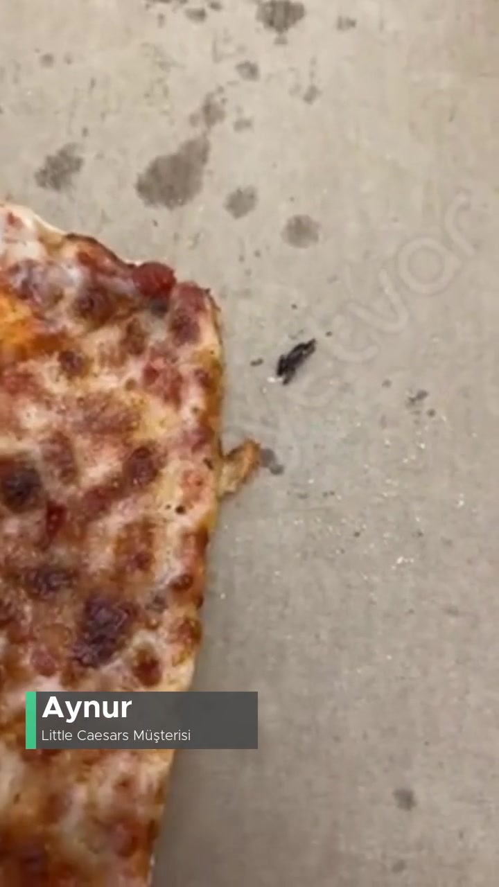 Little Caesars Pizzadan Çıkan! videonun kapak resmi