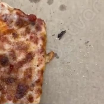 Little Caesars Pizzadan Çıkan!