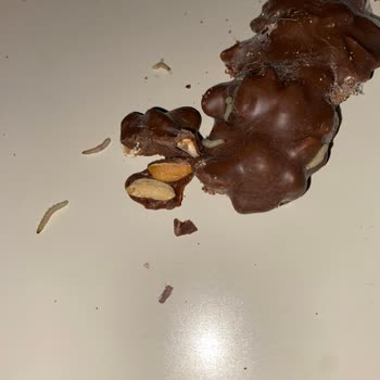 Canga Çikolatasında Kurtçuk Şoku