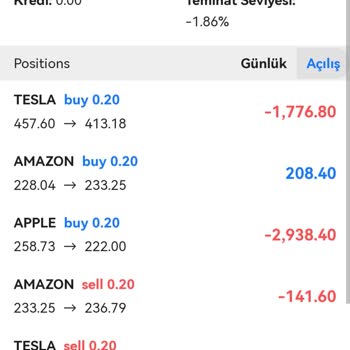 Hisse İnfo Yatırım, Yatırım Sürecinde Karşılaşılan Sorunlar Ve Mağduriyet