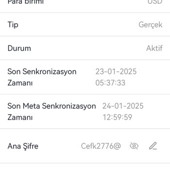 Hisse İnfo Yatırım, Yatırım Sürecinde Karşılaşılan Sorunlar Ve Mağduriyet