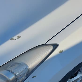 Hyundai Elantra Boya Atma Sorunu: Kronik Problem Ve Mağduriyet Talebi