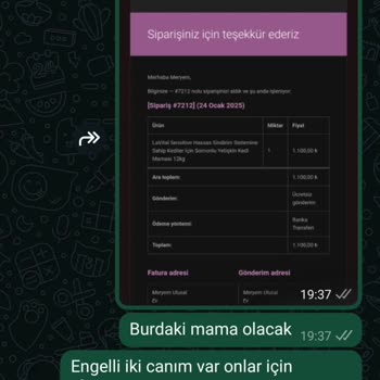 Kedilerimin Maması Hâlâ Kargoya Verilmedi