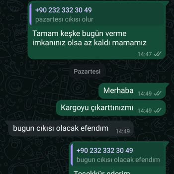 Kedilerimin Maması Hâlâ Kargoya Verilmedi