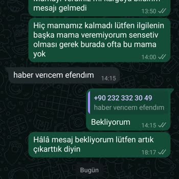 Kedilerimin Maması Hâlâ Kargoya Verilmedi